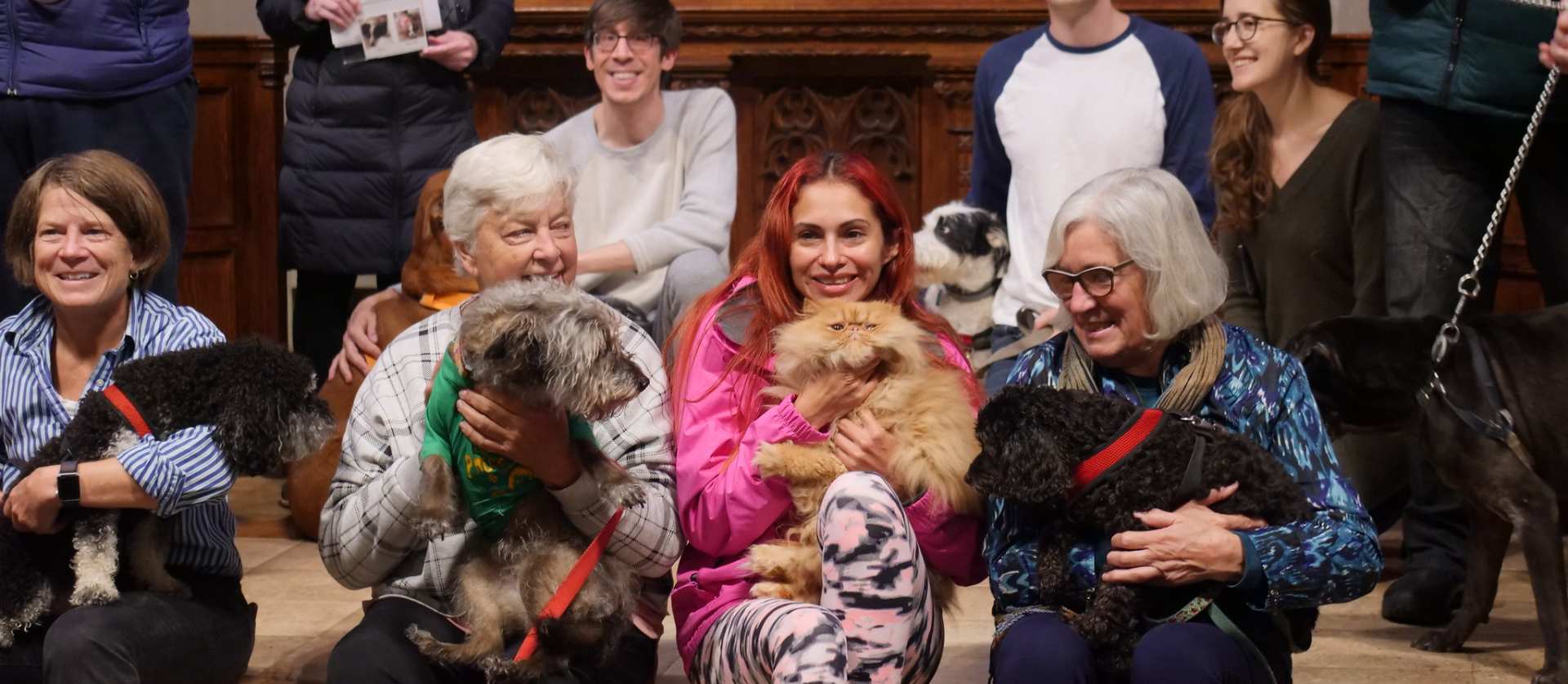 Blessing of the Animals
